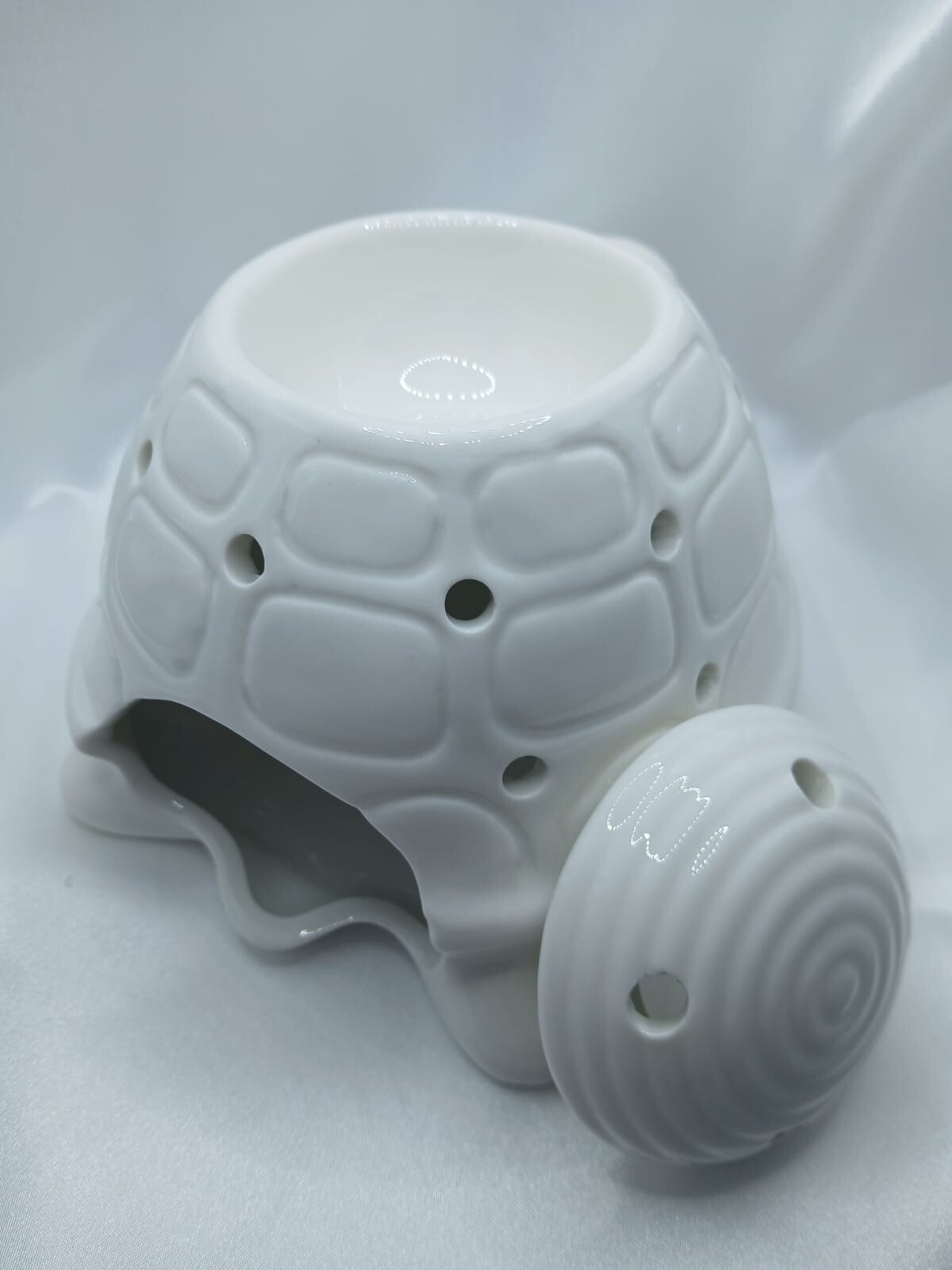Quemador tortuga - 3